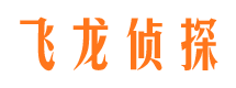 平利侦探